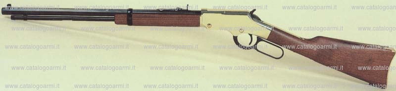 Carabina Henry modello Golden N. H 004 (14882)