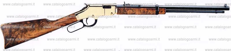 Carabina Henry modello Lever Varmint Express H001V (17135)