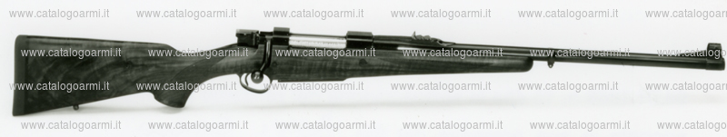 Carabina Holland & Holland modello Magazine Rifle (8268)