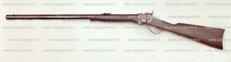 Carabina Iab modello Sharps 1874 sporting (13592)