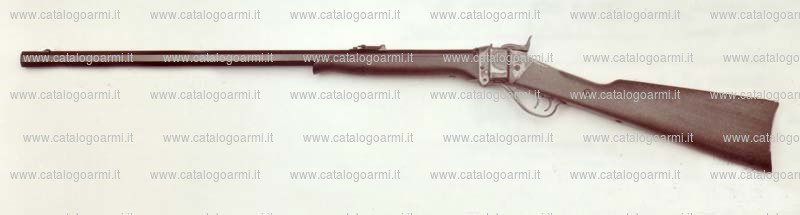 Carabina Iab modello Sharps 1874 sporting (13593)