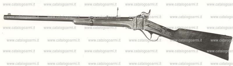 Carabina Iab modello Sharps sporter Carbine (1648)