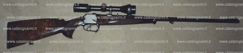 Carabina Johann Outschar's Sohn modello Heerenbuchse (10340)
