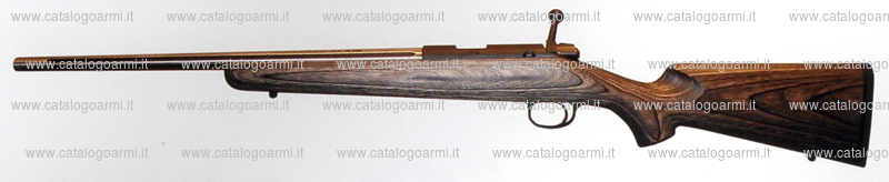 Carabina Kimber modello Kimber 22 (15512)