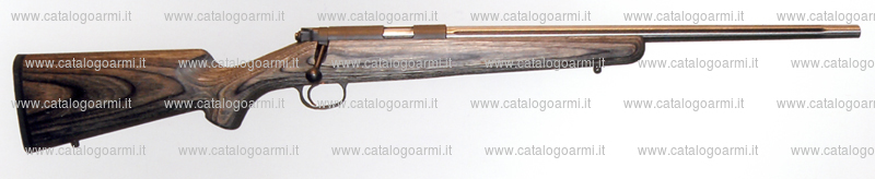 Carabina Kimber modello Kimber 22 (15512)