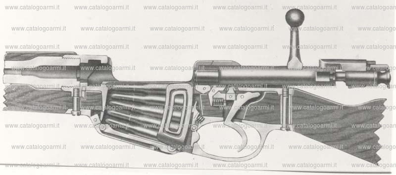 Carabina Mannlicher modello 1893 (2737)