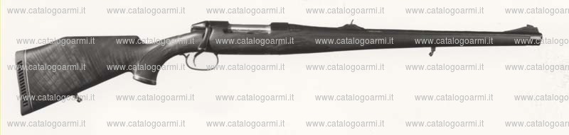 Carabina Sauer modello M 72 Full Stock L M (438)