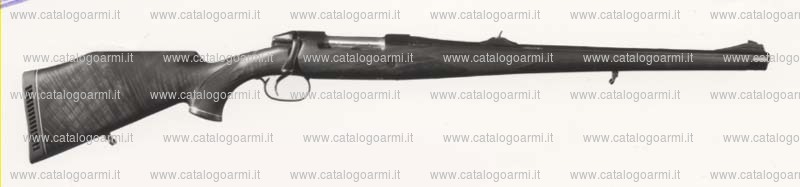 Carabina Sauer modello M 72 Full Stock L M (489)