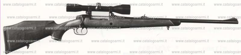 Carabina Sauer modello M 72 L M (248)