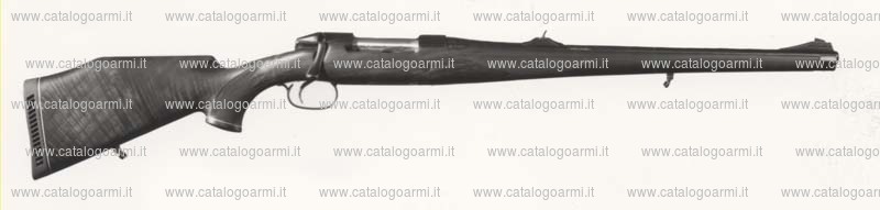 Carabina Sauer modello M 72 L M full Stock (440)