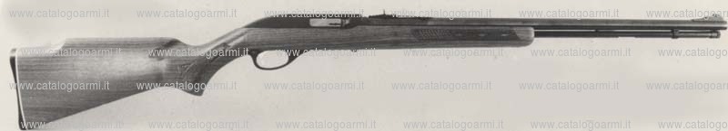 Carabina Marlin modello Glenfield 60 (2413)