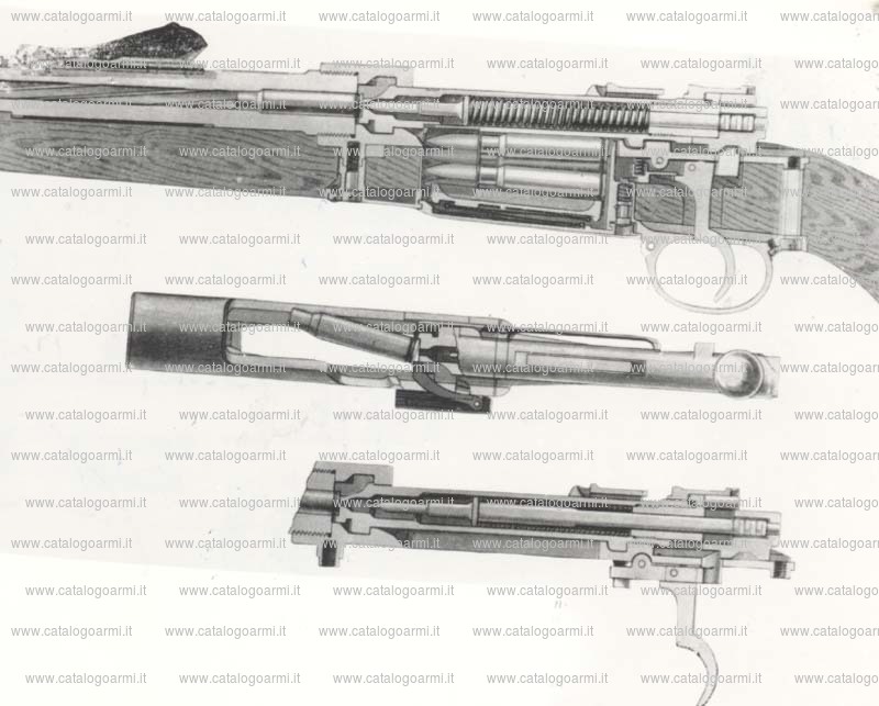 Carabina Mauser modello 1904 (2324)