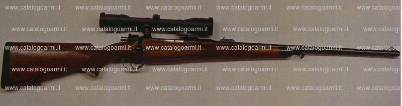 Carabina Mauser modello a ripetizione (14312)