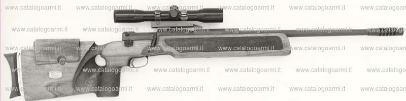 Carabina Mauser modello da tiro sP. 66 (214)