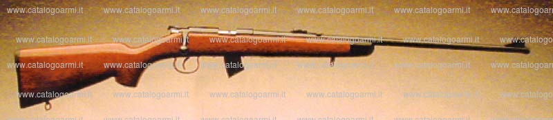 Carabina Norinco modello JW 15 (13549)