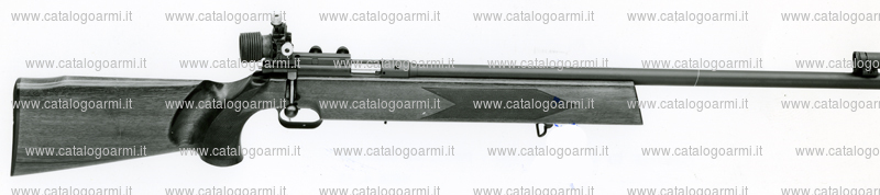 Carabina Beretta Pietro modello Super Olimpia (diottra micrometrica regolabile) (7101)
