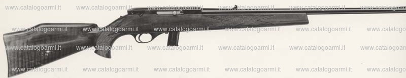 Carabina Beretta Pietro modello W XXII (14)