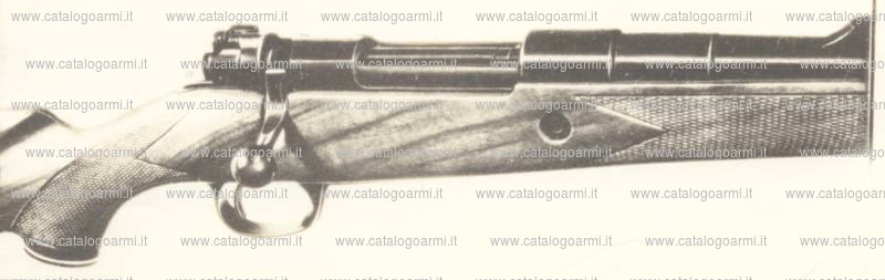 Carabina Parker Hale modello 1100 Magnum African (382)