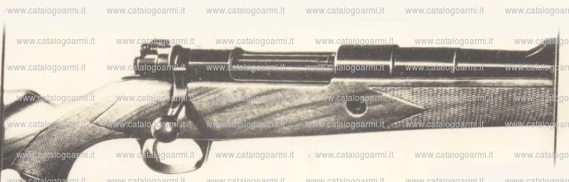 Carabina Parker Hale modello 1100 Magnum African (712)