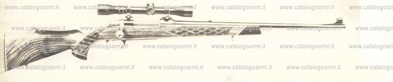 Carabina Parker Hale modello 1200 Super (379)