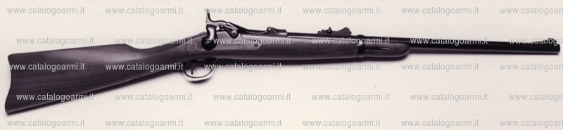 Carabina PEDERSOLI DAVIDE & C modello 1873 Springfield Trapdoor (tacca di mira regolabile) (9503)