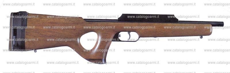 Carabina Pfeifer-Waffen modello Sayfety-Rifle (13928)