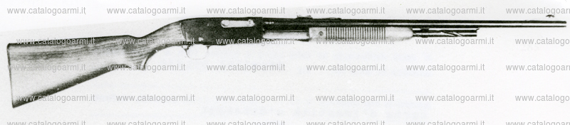 Carabina Remington modello 141 A GaME Master (6119)