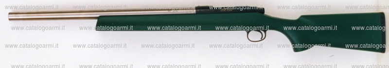 Carabina Remington modello 40 X (15172)