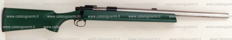 Carabina Remington modello 40 X (15172)