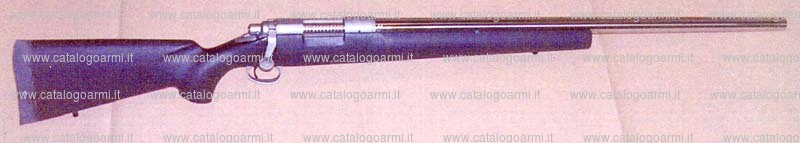 Carabina Remington modello 40 X (16364)