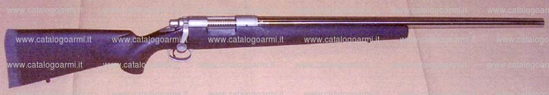 Carabina Remington modello 40 X (17062)