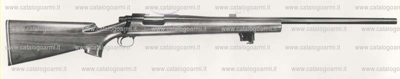 Carabina Remington modello 40 XB (551)