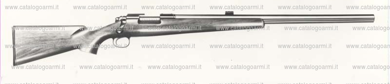 Carabina Remington modello 40 XB BR (557)