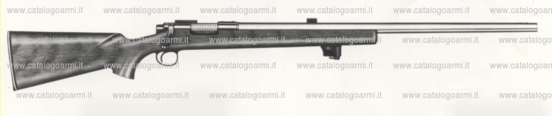 Carabina Remington modello 40 XB H. B. (407)