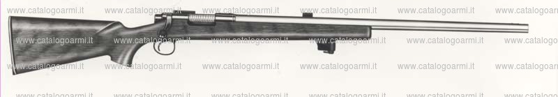 Carabina Remington modello 40 XB RangeMaster (605)
