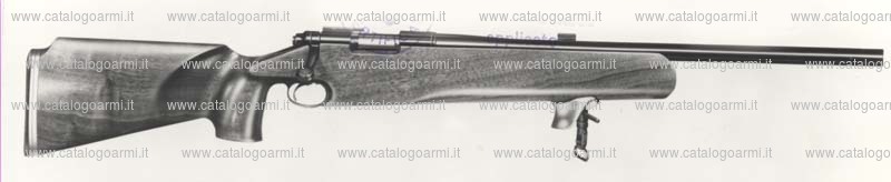 Carabina Remington modello 40 XR (563)