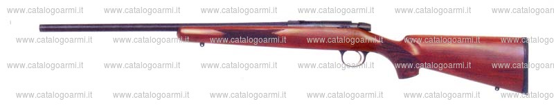 Carabina Remington modello 504 (14621)