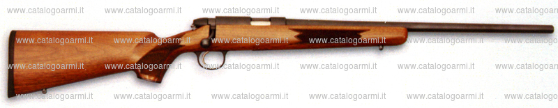 Carabina Remington modello 504 (15306)