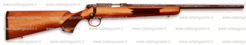 Carabina Remington modello 504 (15432)