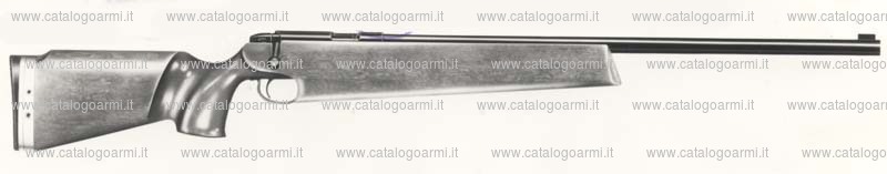 Carabina Remington modello 540 XR (564)