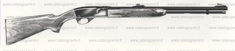 Carabina Remington modello 552 BDL (739)
