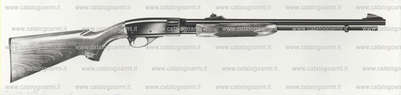 Carabina Remington modello 572 BDL (463)