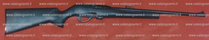 Carabina Remington modello 597 (10511)