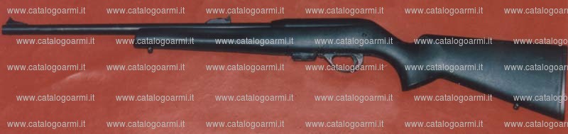 Carabina Remington modello 597 Magnum (10860)