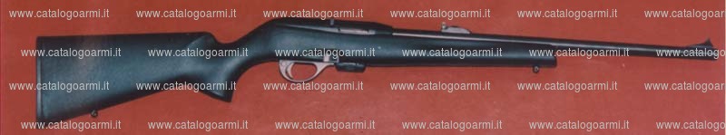 Carabina Remington modello 597 Magnum (10860)