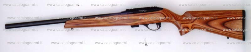 Carabina Remington modello 597 Magnum (14437)