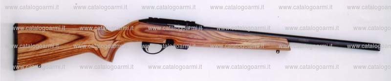 Carabina Remington modello 597 Magnum (14437)