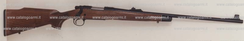 Carabina Remington modello 700 (10120)