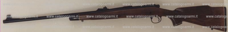 Carabina Remington modello 700 (10867)
