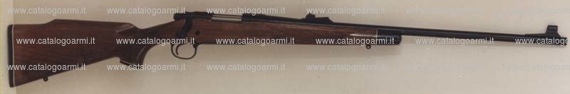 Carabina Remington modello 700 (10867)